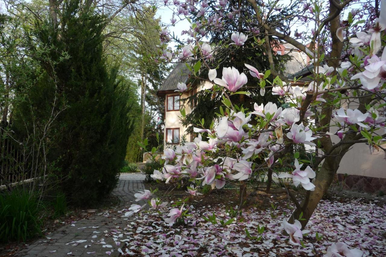 Balaton Art Guesthouse Balatonszemes Exterior photo